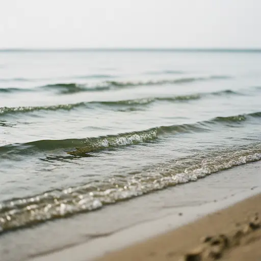 EmTrace Emotionssystem - Emotionale Blockaden lösen mit Coaching Landsberg am Lech